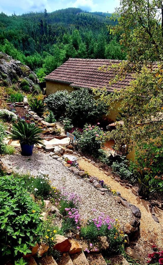 Quinta Do Cabril Apartment Serpins Exterior photo